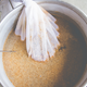 Illustration for article titled Beer yeast even more badass than previously known